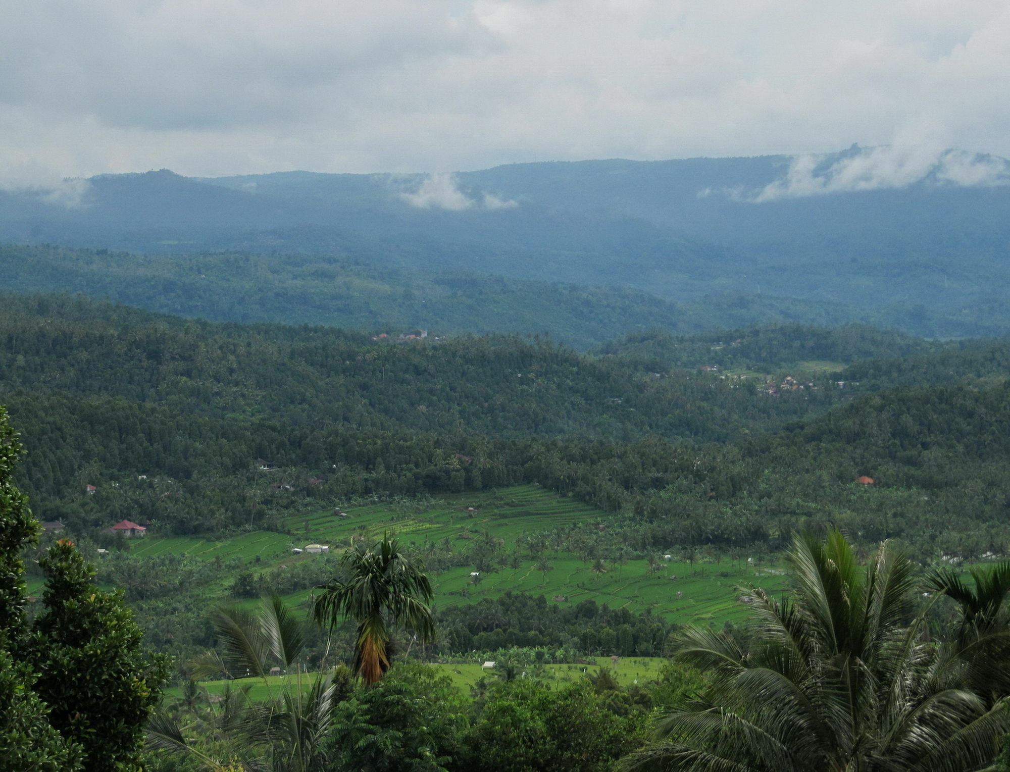 Karang Sari Guesthouse & Warung Munduk Exterior foto
