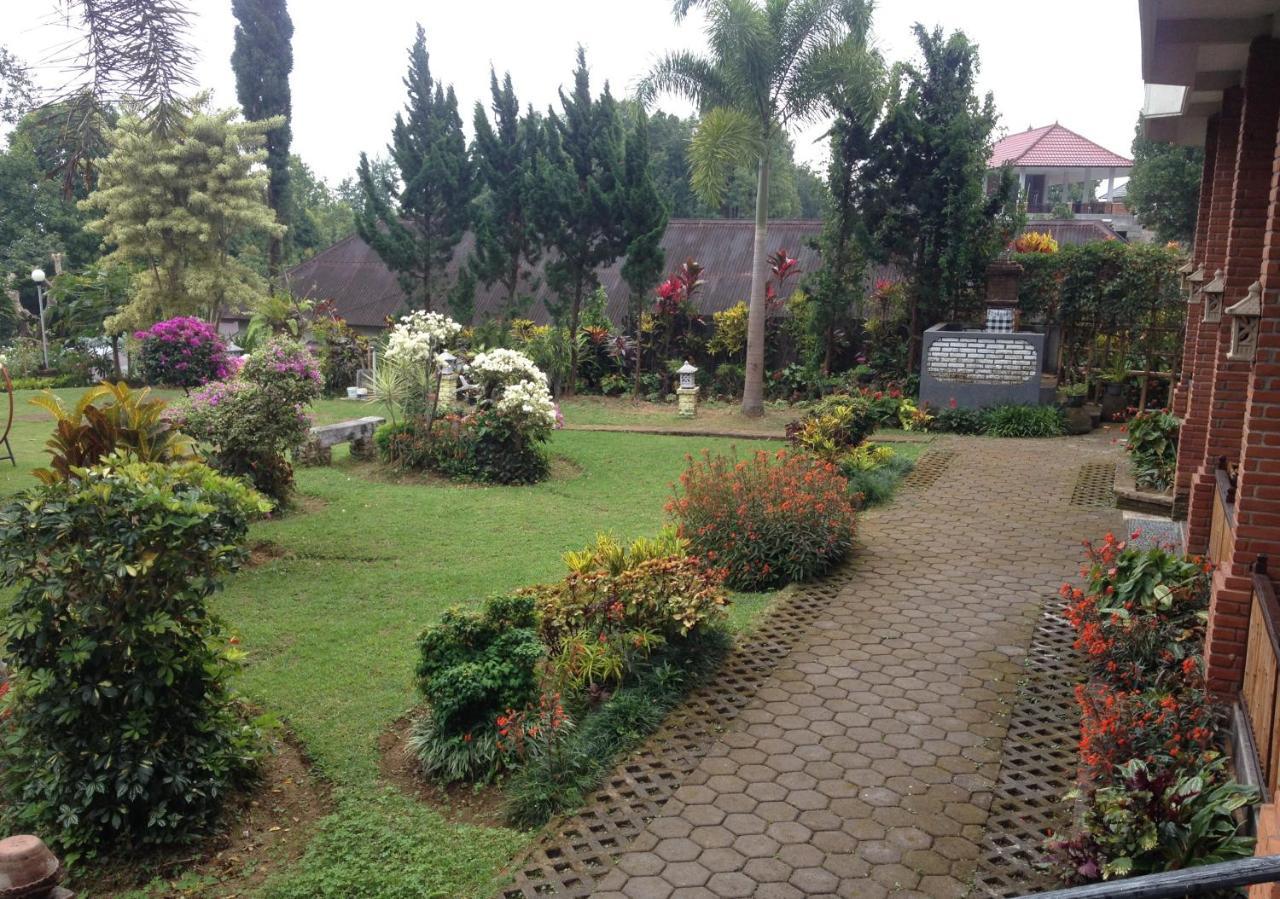 Karang Sari Guesthouse & Warung Munduk Exterior foto